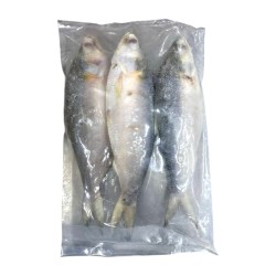 Hilsha Baliq (1kg)