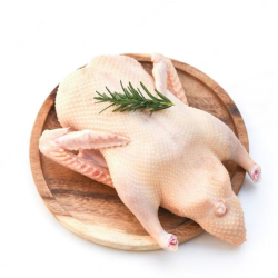 Bo'lingan o'rdak "HYF" (2kg+)