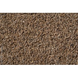 Whole cumin seeds (1kg)