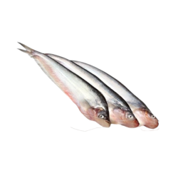 Pabda baliq "Lasso" (500g)