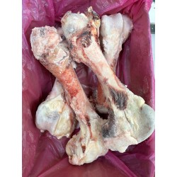 Mol ilik suyak (1kg)